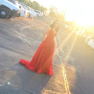 Coya Collection Appliqued Mesh Ballgown size small